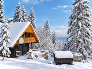 Fernblickh�tte Rosenkogel in der Weststeiermark Bergh�tte Weststeiermark